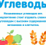 С 16 по 22 декабря в стране проводится Неделя популяризации здорового питания - Центральная районная больница